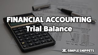 Trial Balance in Accouting with Example [upl. by Glassco]