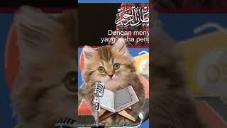 kucing mengaji cover by kucingsholawat [upl. by Edgell489]