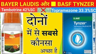 bayer laudis ओर basf tynzer m sabse best kon hsabse best herbicide in maizebasf laudisBASF Tynzer [upl. by Iblok]