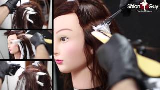 Balayage Hair Color Technique Demo [upl. by Eirrod185]