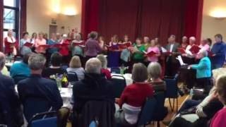 Traquair choir sings Karine Polwarts Follow the Heron Home [upl. by Azyl]