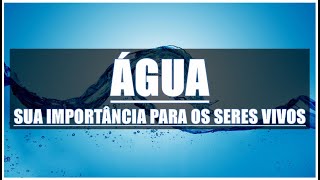 ÁGUA SUA IMPORTÂNCIA PARA OS SERES VIVOS [upl. by Amliw]