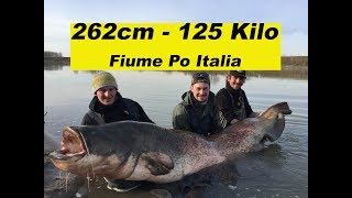 RekordWels 262cm 125Kilo  Italien  LiveDrill  Umlenken  Steinpackung by Stefan Seuß [upl. by Barker]