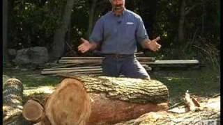 Woodworking DIY Tips Cutting Lumber from Logs [upl. by Ostraw987]