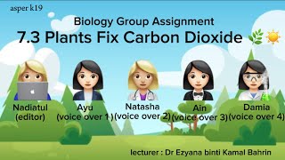 Plants Fix Carbon DioxideCalvin Cycle Video Assignment [upl. by Guss320]