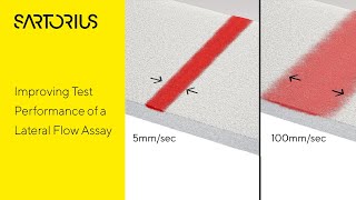 Why you get faint lines on drug tests and how to interpret the results [upl. by Ahselef]