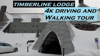 Timberline Lodge Oregon  4k Driving and Walking Tour  Dashcam [upl. by Cleasta445]