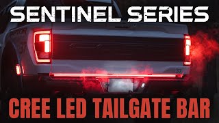 The ULTIMATE Tailgate Bar for your F150 Super Duty amp Raptor The Sentinel Series by F150LEDscom [upl. by Edny27]