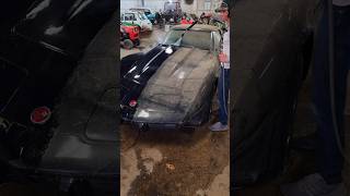 Washing Abandoned Corvette Stingray 🚘💕 DetailDane BarnFind Satisfying Detailing AbandonedCars [upl. by Franck]