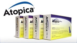 Atopica for Dogs amp Cats Atopica Dermatitis [upl. by Cown]