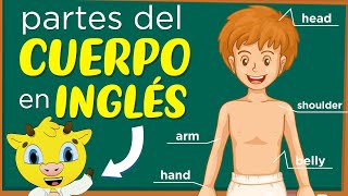 Partes del Cuerpo en Inglés  Inglés para Principiantes [upl. by Evatsug537]