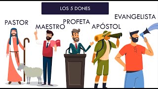 Los 5ministerios en efesios411 apóstol profeta evangelista pastor y maestro [upl. by Royden585]