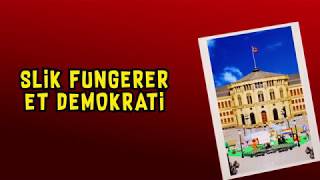 Hvordan fungerer et demokrati [upl. by Ahsoyek]