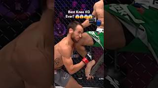 The Best Knee KO Ever What A KO by Movlid Khaybulaev MMA KnockOut Shorts Reels [upl. by Anderegg]