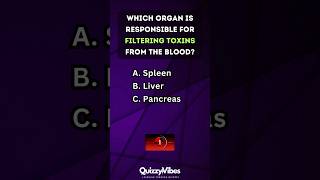 🧠 Quickfire Body Quiz How Well Do You Know Your Organs humanbody anatomy quiztime [upl. by Nwahsal63]