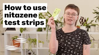 How to use nitazene test strips [upl. by Guenevere]