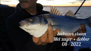 Uitleg zeebaars vissen met dobberzagers 082022 peche du bar au leurre fishing levrek [upl. by Graham]