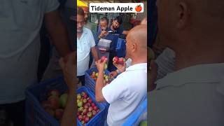 todays tideman apple variety ki क्रेटो मैं खुली बोली todays tideman apple market in kullu [upl. by Artima]