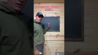 THE BEST WAY TO SEED BRASSICAS foodplot deerhunt shorts deerhunting [upl. by Ninazan]