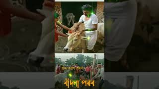 আমদের ঝুমুর ইন্দ করম বাদনা গো Purulia Jhumur Song Status poritoshmahato বাদনাপরব ❤️ kalipuja [upl. by Elokin386]