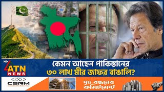 কেমন আছেন পাকিস্তানের ৩০ লাখ মীর জাফর বাঙালি  Pakistan  ATN News [upl. by Eyssej]