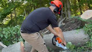 Stihl MS 251 Review [upl. by Nosak]