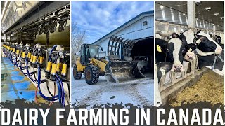 A Day In The Life Of A Canadian Dairy Farmer [upl. by Glavin283]