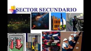 sectores economicos [upl. by Beatrisa]