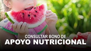 Bono de Apoyo Nutricional [upl. by Clayton]