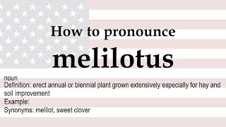 How to pronounce melilotus  meaning [upl. by Serafina]