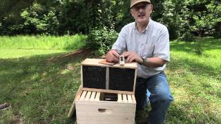 How to install a Bee Package [upl. by Airitac588]