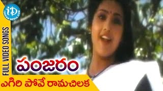 Panjaram Movie  Egiri Pove Video Song  Meena  Vinod Kumar  Kota Srinivasa Rao  Raj [upl. by Lenox]