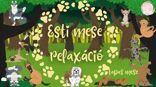 Esti mese relaxáció 🐺 A varázslat órája 🐶 Tapas mese [upl. by Hnim]