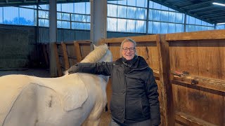 A day with TheHorseSeller  ICELANDIC HORSE DREAMS  S1E4 [upl. by Anairad206]