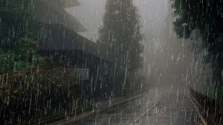 Sonido de Lluvia y Truenos para Dormir Profundamente  Lluvia Relajante en Bosque Brumoso [upl. by Notnyw]