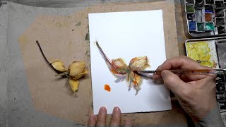 PROCESS Daily Rose Watercolour Painting DAY 2997 20231022SUN [upl. by Lilly]