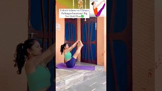 Yoga for Beginners ✅ yoga shorts motivation [upl. by Lleval161]