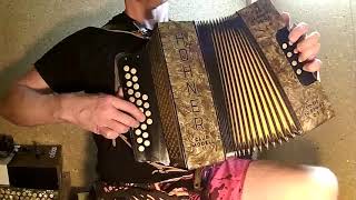 Despacito  diatonic accordion cover [upl. by Lisa]