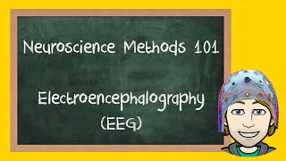 Electroencephalography EEG Explained  Neuroscience Methods 101 [upl. by Hy603]