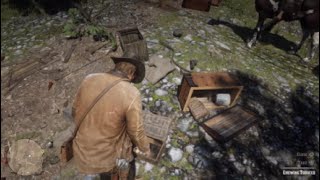 Red Dead Redemption 2 Herbalist 3 Early [upl. by Yeoj]