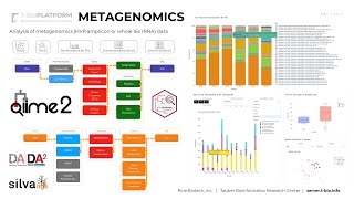 Metagenomic Data Analysis on TBioinfo Server QIIME2 [upl. by Batruk711]