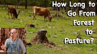 How Long Does it Take to Go from Forest to Pasture  FHC Q amp A [upl. by Hanej513]