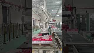 Robotic case palletizing system case palletizing robot [upl. by Jenkel933]