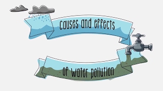 Causes and effects of water pollution  Sustainability  ACCIONA [upl. by Rellia]