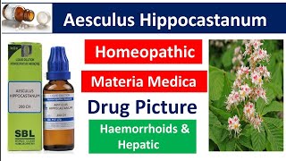 Aesculus Hippocastanum Homeopathic Medicine  Drug Picture  Materia Medica bhms [upl. by Ennaegroeg]