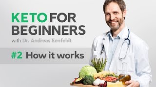 A keto diet for beginners part 2 how it works [upl. by Rutger]