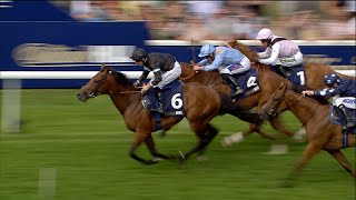 Whoosh KERDOS fires home to land the Beverley Bullet 🚀  Racing TV [upl. by Etom]