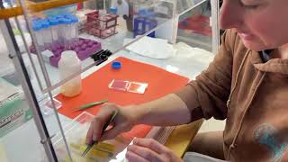 Preparing Vials for Seawater Samples [upl. by Nylecyoj]