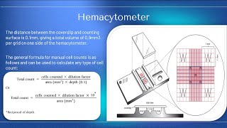 ASCP  MLS  MLT  Hematology  manual and semiautomated testing in Hematology [upl. by Damalus]