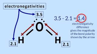 Polar Molecules Tutorial How to determine polarity in a molecule [upl. by Gerald47]